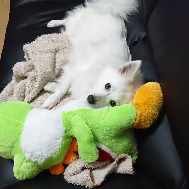 13345db6 b2e9 42d4 9e32 0c38283428ed 1518188757987