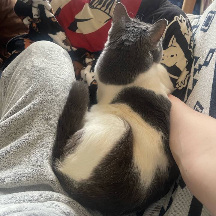 13346612 aa64 4ca0 be28 503fd8ac2f6f 1744180151862