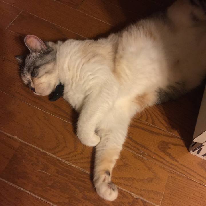 133496be 74cb 4773 9e54 2aa41aebcec2 1564506370703