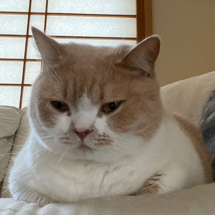 1334ef2e 4678 4aeb 821e 1512ff848ba4 1599096450674