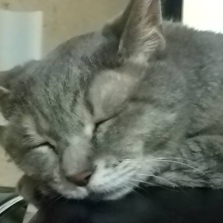 13350fdf 7999 45ab a617 b094c9010bca 1691463161967