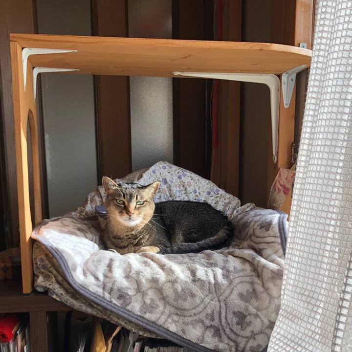 133519e2 6d6a 4cec a613 25019d66b487 1743814652701