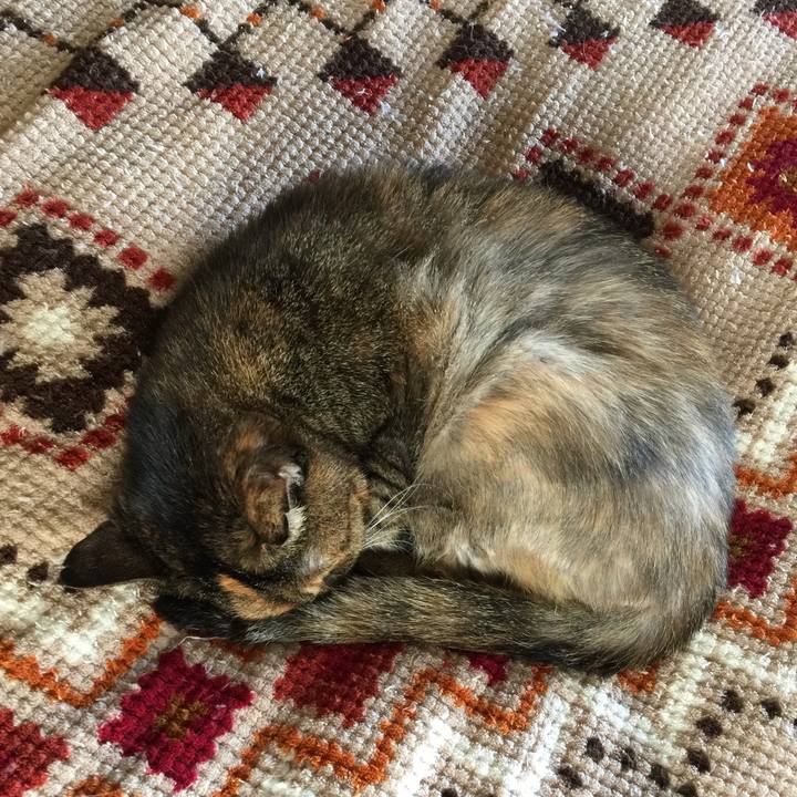 13354c5b f61c 4685 a7e9 533c4b92f405 1508820065122