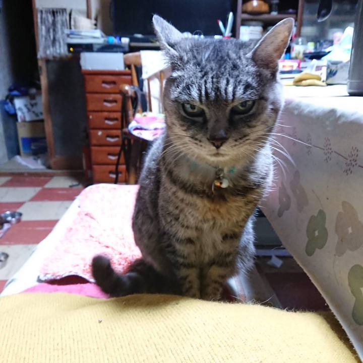 13354e38 474d 4f6b b0ed 5f64fcb903ff 1604954368640