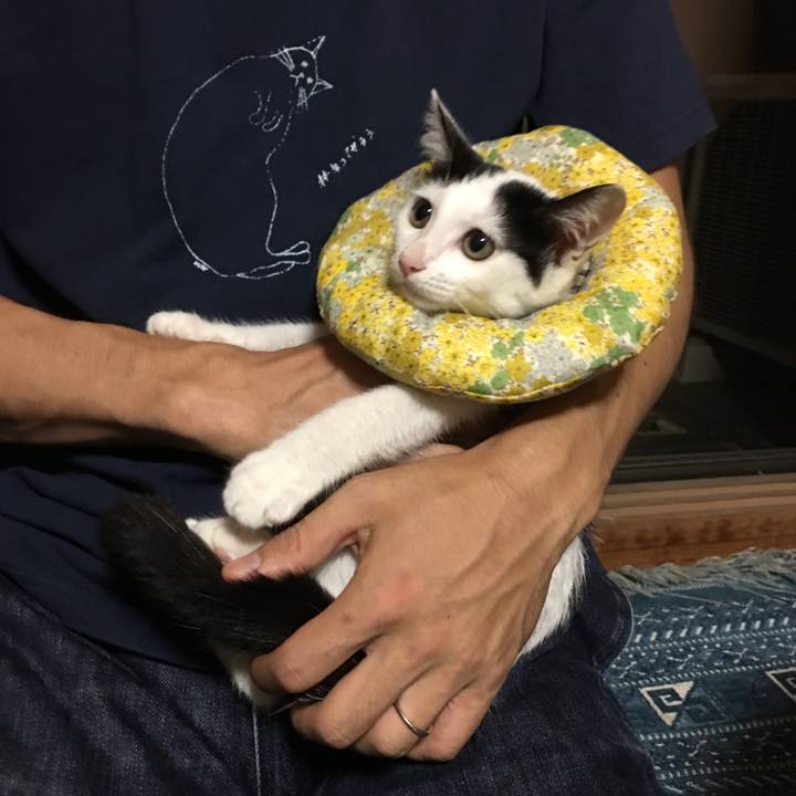 1335546b 315a 4bad beb5 77983fb38a23 1537283318185