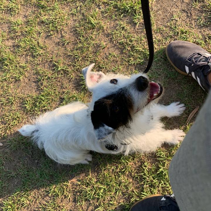 133559b5 35eb 43c8 9dd5 90d3a9f0a26c 1592297619778