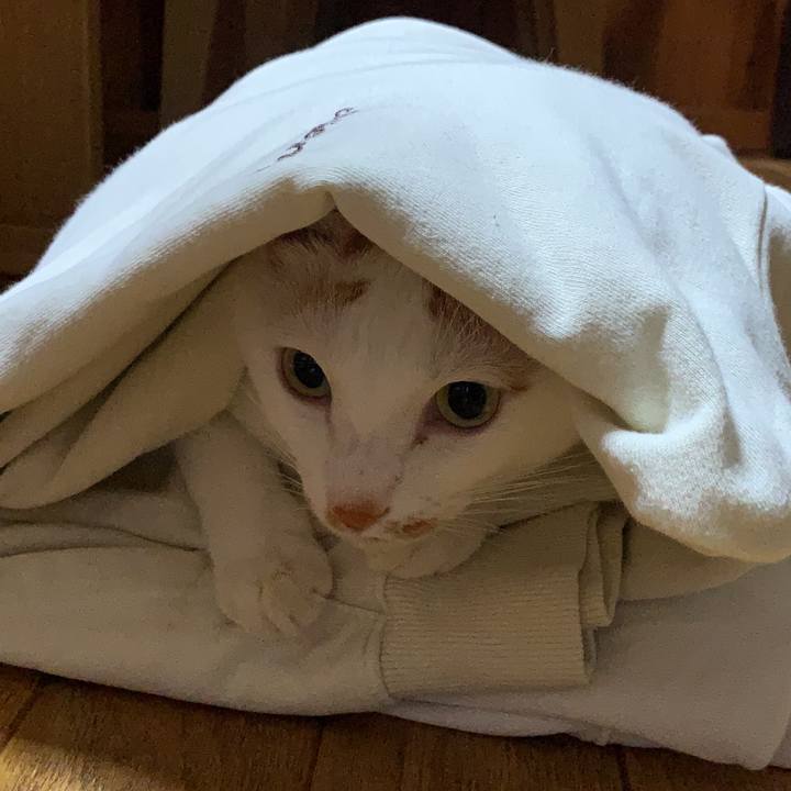 133581ce 2a6c 4494 8427 72ca49444a4b 1606232203467