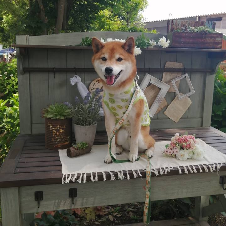 1335a380 2d21 4e85 ae3d d8cfd9a89aba 1685199403571