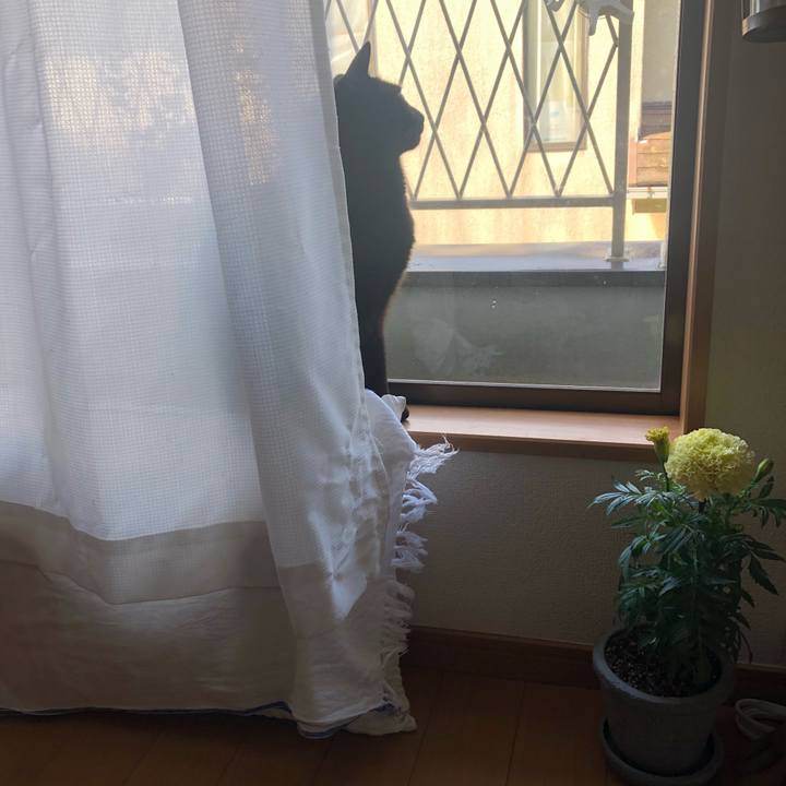 1335d048 bc60 4570 ac76 fde7fba83cee 1587422847889