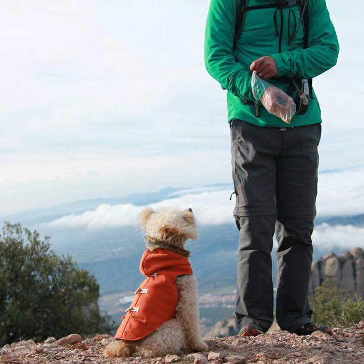 1335d9ae ffe6 4289 bc3b 3c5fa91fe029 1579275585244