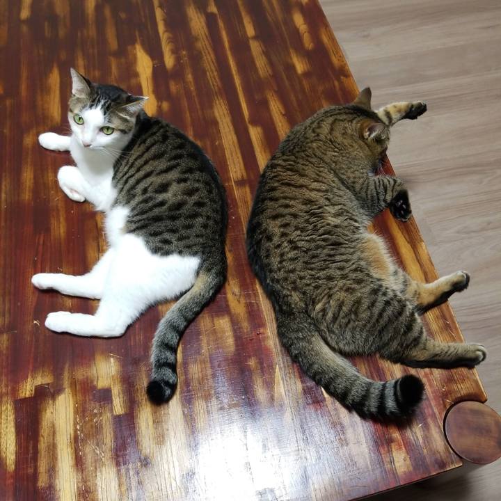 1335da42 6084 415f 8a44 2e0c92793da7 1571952168216