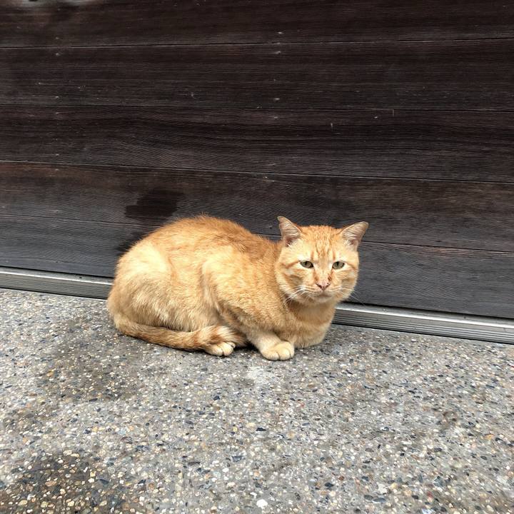 13361ae9 38c9 4fec 949b 3642ee50843d 1628845546694