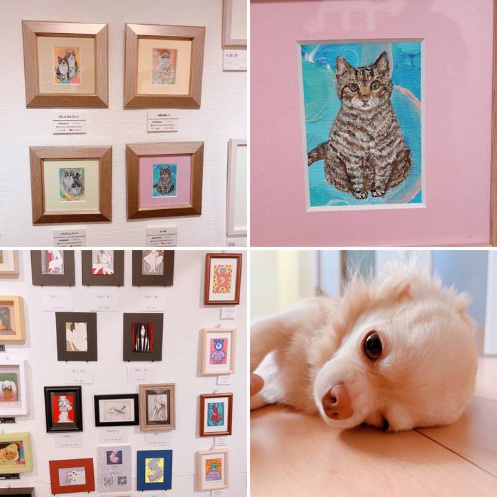 1336206b b0b5 4c26 b201 2376b9e4aeb0 1662443841143