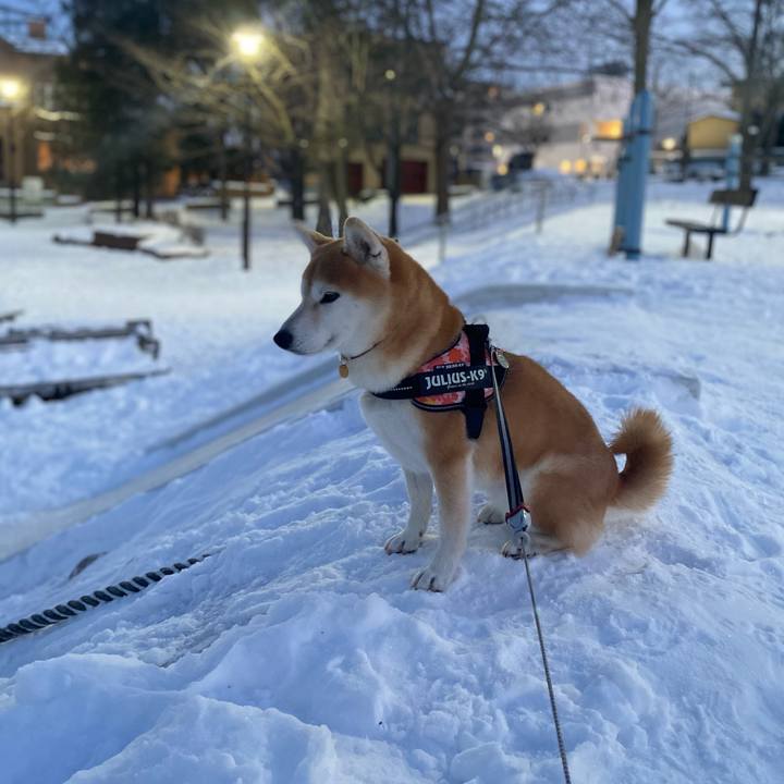 13365efa 3c5d 4db4 92c9 ad05c0de6b80 1609923228288