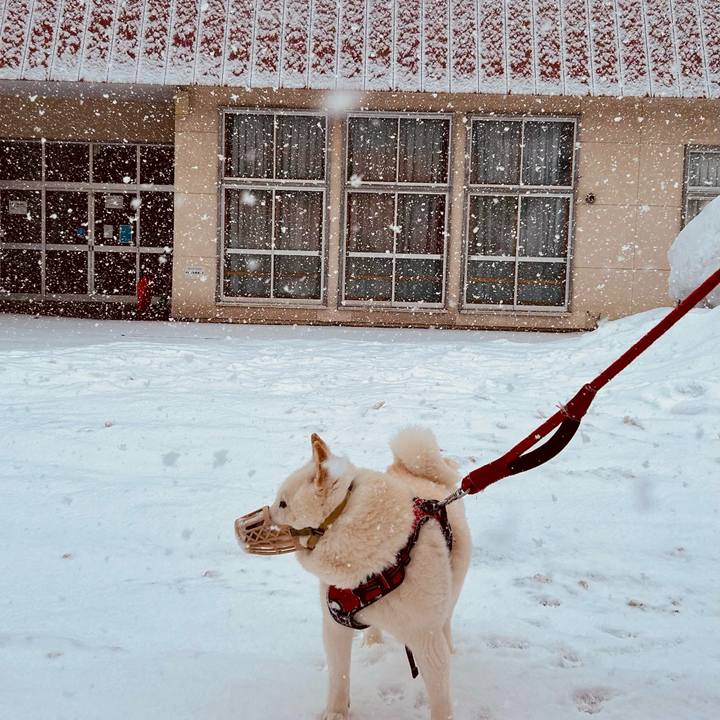 13366436 416b 48ec b53f 6e012d926c09 1710893417786