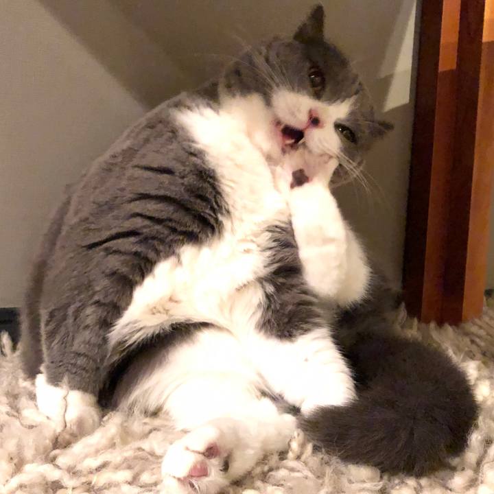 13369cd7 1b66 431c a3f1 e0d027181359 1519074981975