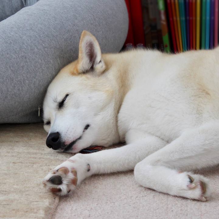 1336a7bb 2b47 4a0f 81e3 ffaf7f1812a6 1530154102728