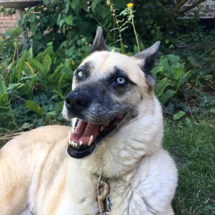 1336bf29 c807 49dc bacd 893b1e208db4 1522082589617