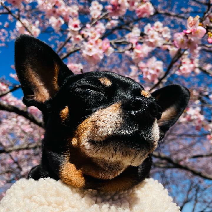 1336e0dc 181c 4896 9a18 e5aa09269251 1773536351997