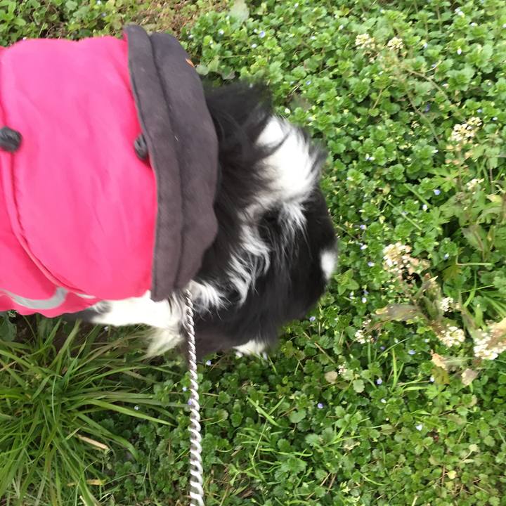 1336fdd9 3ef5 4b7c 84f0 9c2dc88cdb44 1547078756867