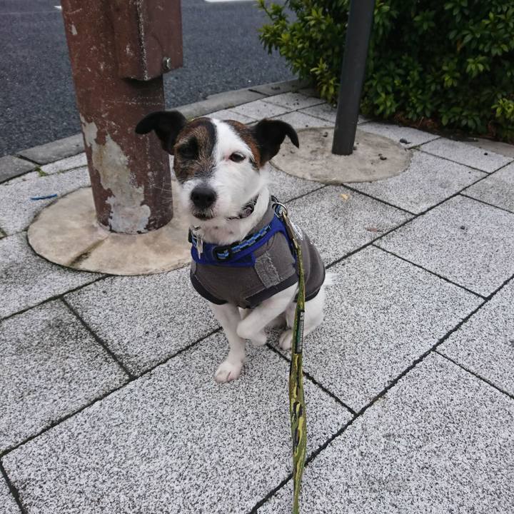 133724cf 6042 4b8d 8afa 2b41c494e0fe 1520287287074