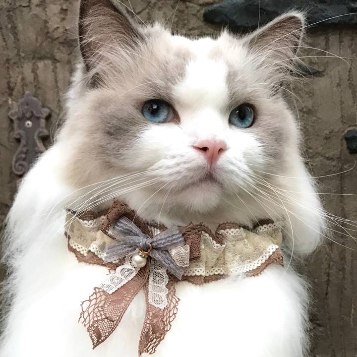 13378c74 8239 4747 98cf feeedb649546 1601542999614