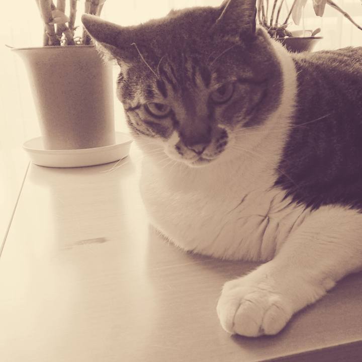 13378f1d 5a10 414d 9d0f 3b8889a0f226 1554006055092