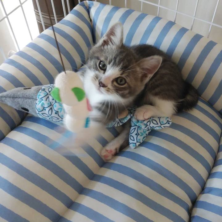 13379845 e93b 44a7 8448 a295d390979c 1560902393192