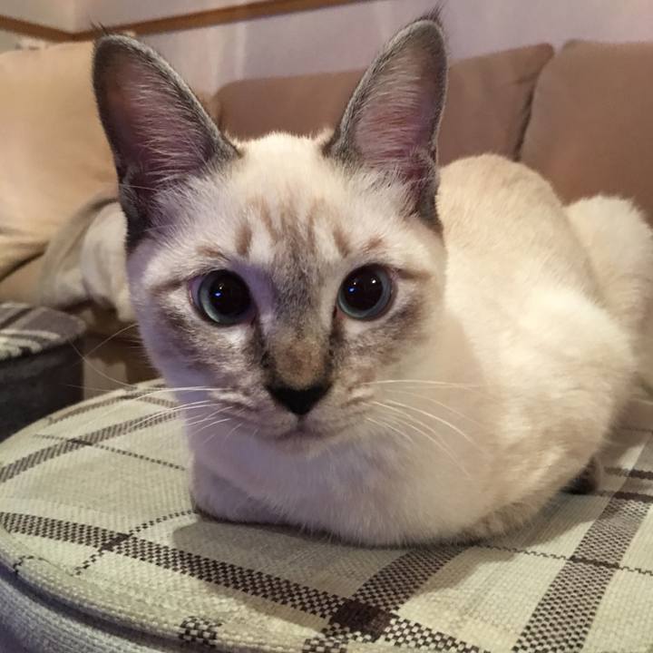 1337fe31 8cae 446e b3c3 782e543483d2 1540468625501