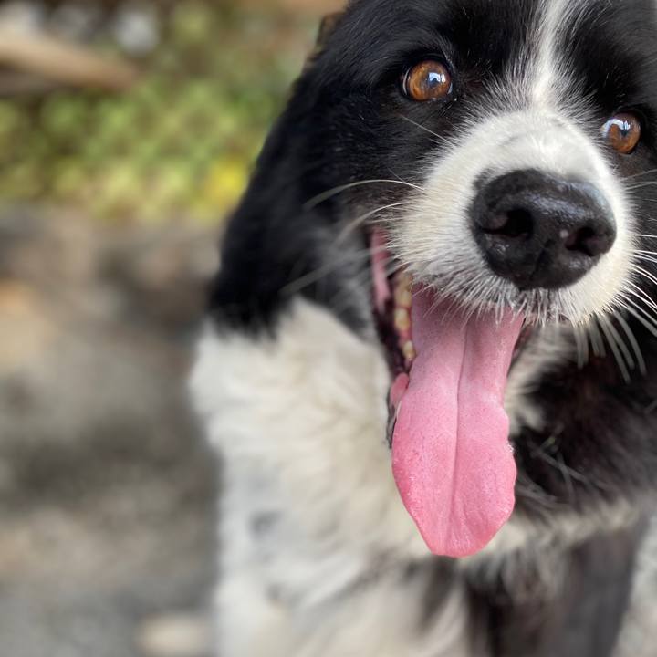 133804b3 57fd 4d41 bd17 ca2516269fd5 1599611301108