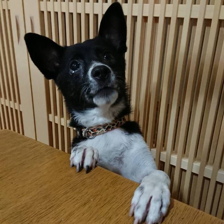 13381a6f 273b 4115 95a9 97714d869e90 1571144302310