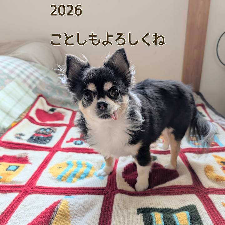 133858a5 859a 4e28 ae22 b70657b305d7 1767236248660