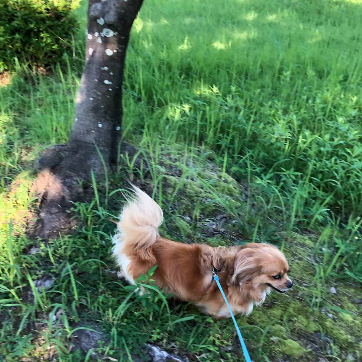 13388b58 4579 47a3 81a4 782ae5a70074 1561412154355