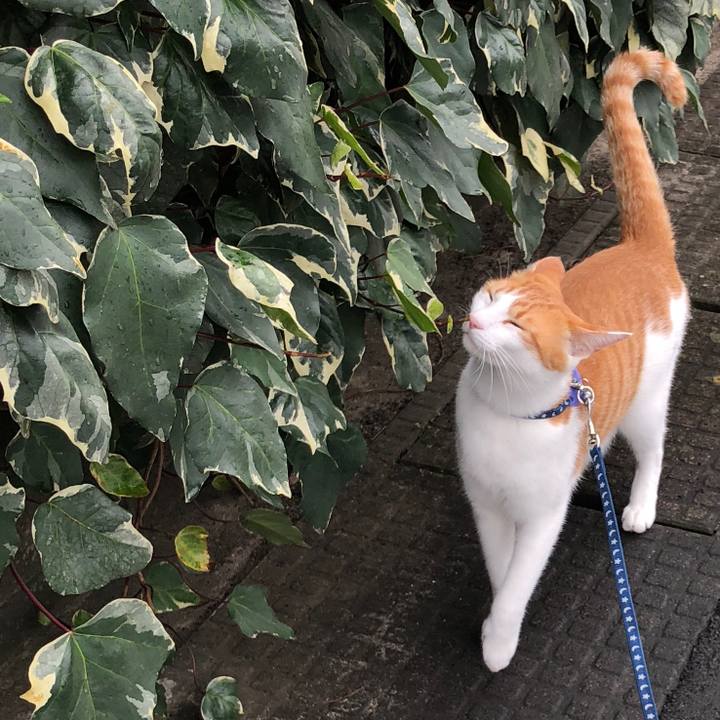 1338ae8e 264e 4265 9bec 5c78a52ada8c 1539753840940