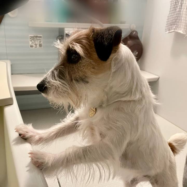 1338b691 876c 41ae afec 4750ed49a1e0 1652622124867