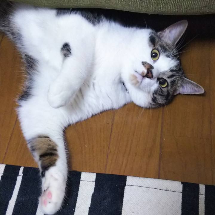 1338b94b 43e7 404c 8724 e363017f7d3f 1623625685251