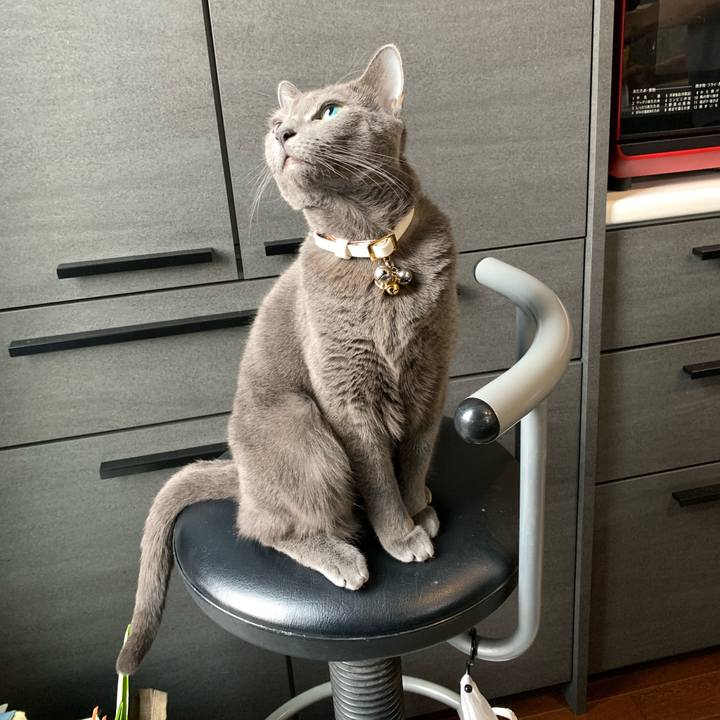 1338e9ef 82ca 4260 8318 48b06f753fc6 1639709805216