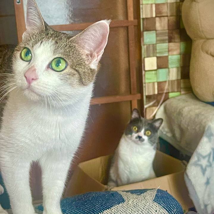 1338ea18 c925 4f39 8027 84b1b5fda490 1750904830898