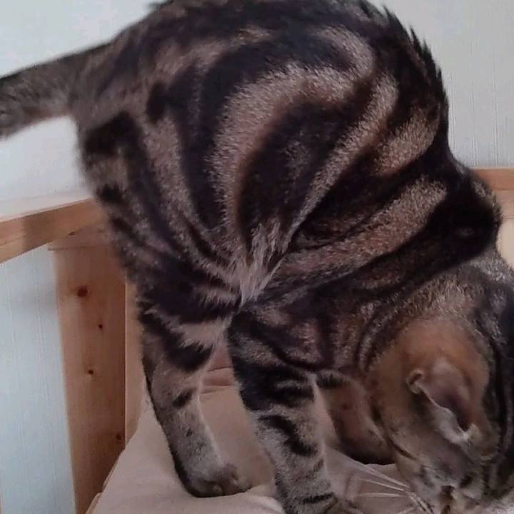 13396a0a bbed 46d7 a213 0372a9f7d836 1708678780681