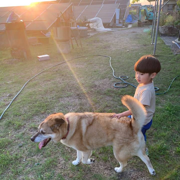 13397dad 2622 4dc6 b227 88d0dfe7173d 1627124514523