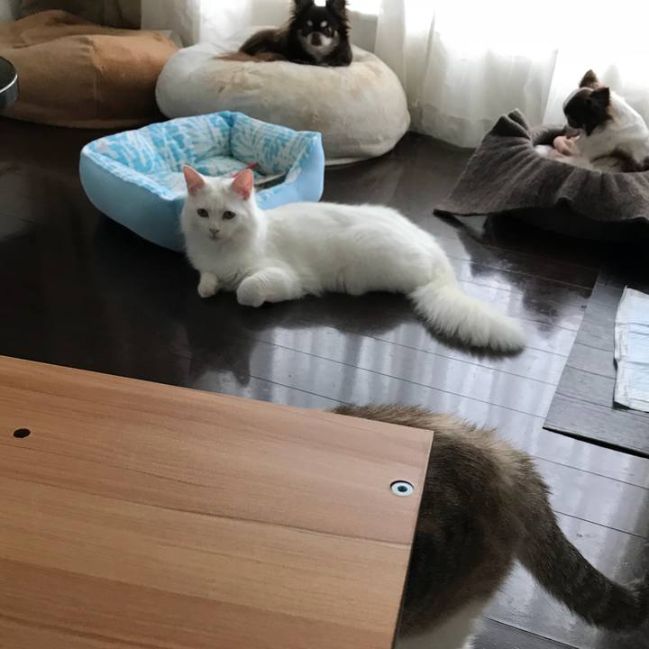 1339e182 2b1c 42b7 95e2 d06301492235 1523861491067