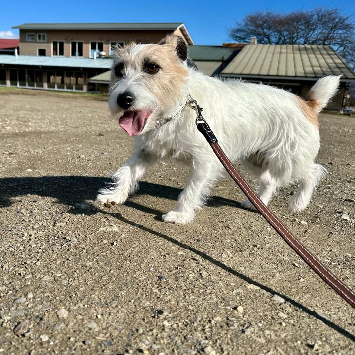 1339e8b8 2e65 4dd6 ac16 56998e485ed6 1732976754575