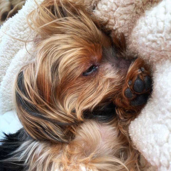 133a072d e973 4705 b918 4b73369d84bc 1584231085396