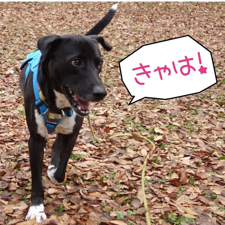 133a684d 76c6 4d02 a273 6d6b7e3df3c9 1606867875295