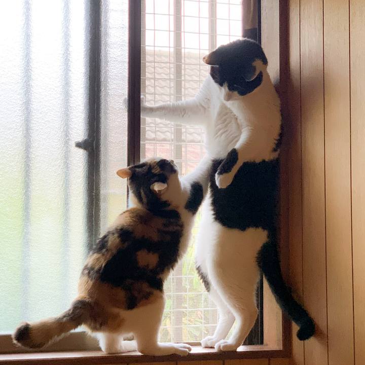 133a720d 5aa3 448c 8b8d 3845831234fc 1592446421627