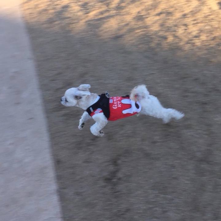 133aa36f 37e6 4b3b a997 f1270b5e499d 1635246698956