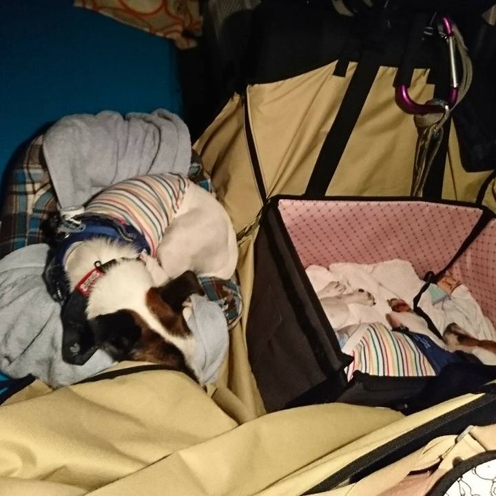 133af338 5486 4db6 9415 44fd99b202e9 1537622235134