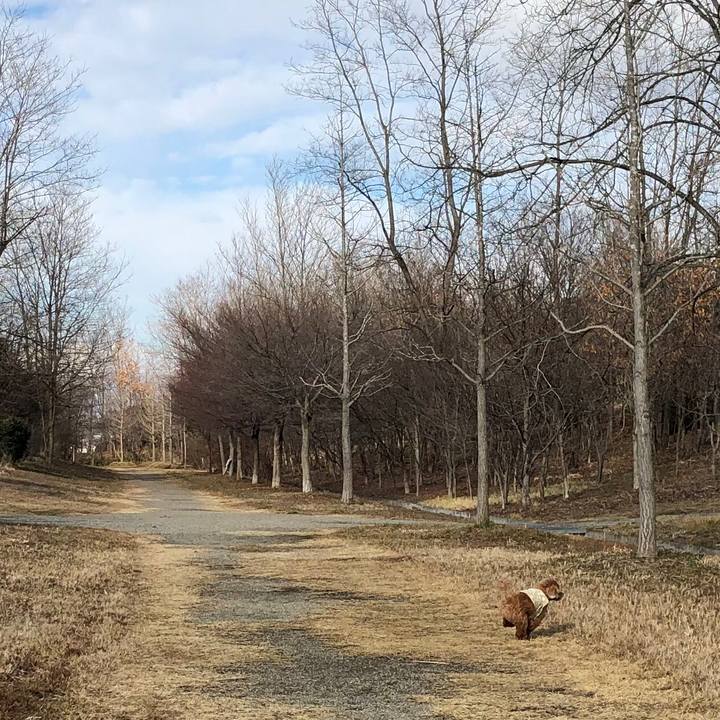 133afb6c 5c12 4a61 8116 76f9a553b7b1 1578894253553