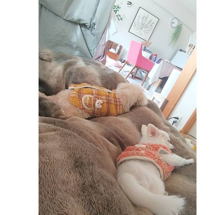 133b07b4 a0d9 40e8 9066 a8c85fe8f398 1673048668635