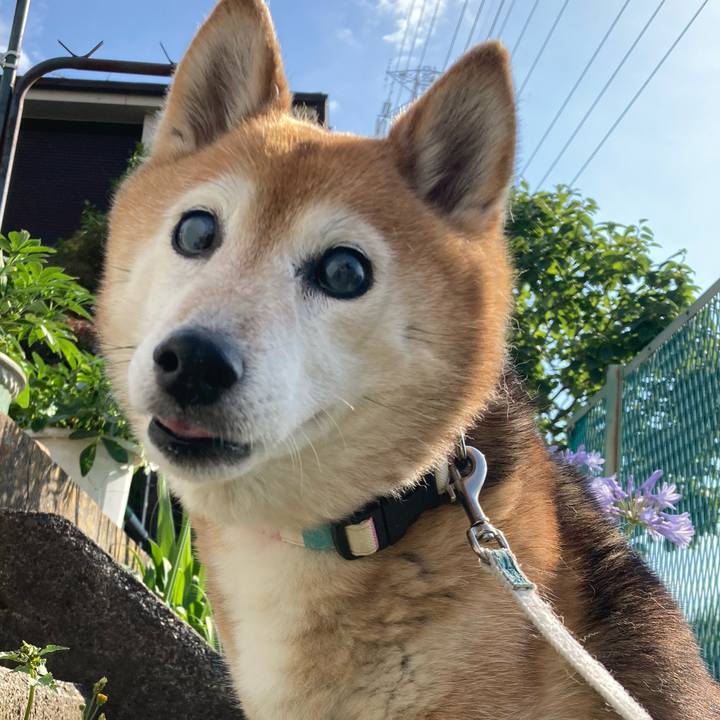 133b6b38 9b9f 4a14 a535 af987108838d 1750225468497